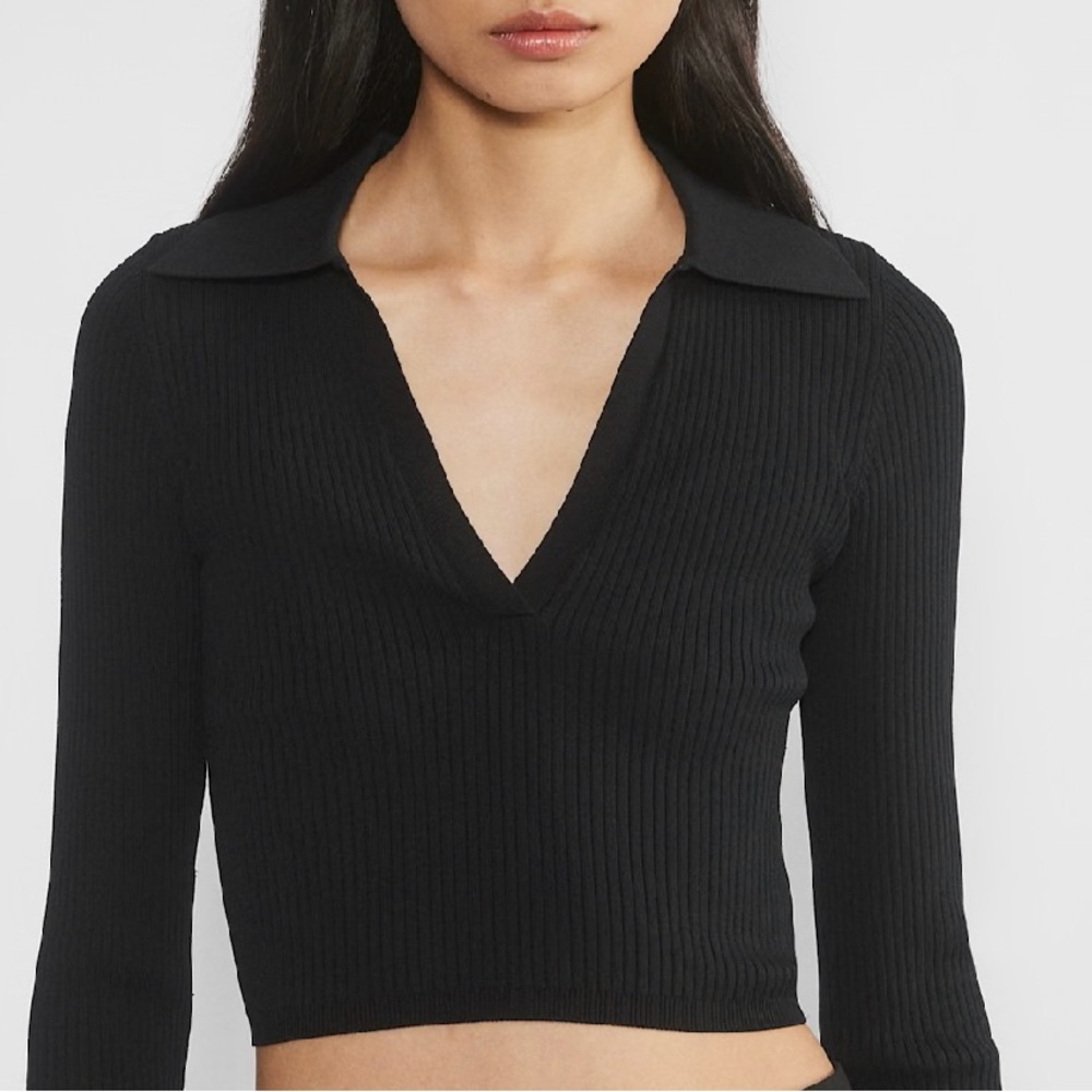 Aritzia Babaton Sculpt Knit Polo Longsleeve